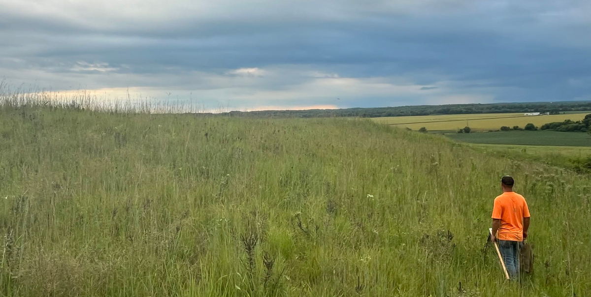 Revis Prairie Work Day Sweet Clover Pulling and Butterfly Monitoring Saturday June 13, 2026