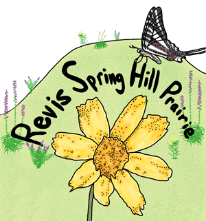 Revis Spring Hill Prairie Nature Preserve